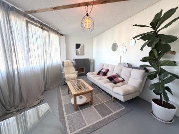 Location Appartement 3 pièces CHF 1'430. /mois 66 m2 | immobilier.ch