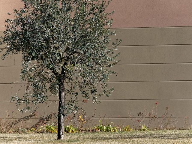Location appartement 3 pièces GARDANNE 54m² à 865.65€/mois CDC Habitat