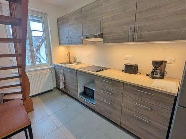 Location appartement 3 pièces Schiltigheim 67