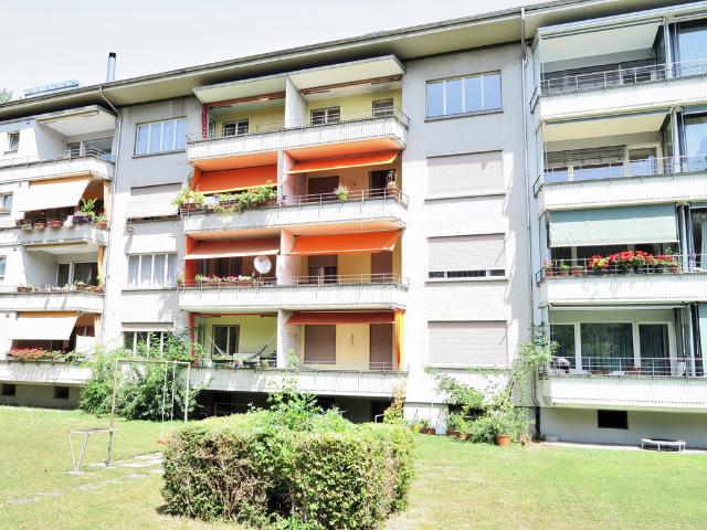 Location Appartement 3.5 pièces CHF 1'290. /mois 1 m2 | immobilier.ch