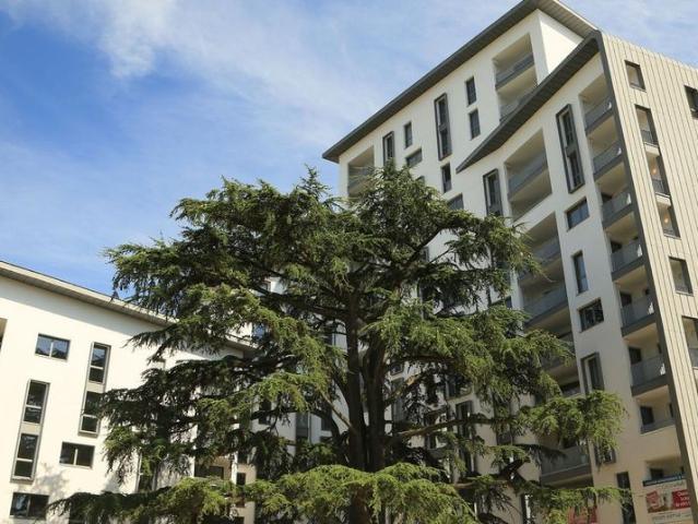 location Appartement T3 DE 60.4m² À MASSY
