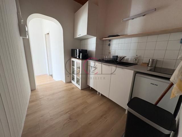 Location APPARTEMENT TYPE 1 MEUBLE CENTRE HISTORIQUE AIX | Groupe Carnot Drujon