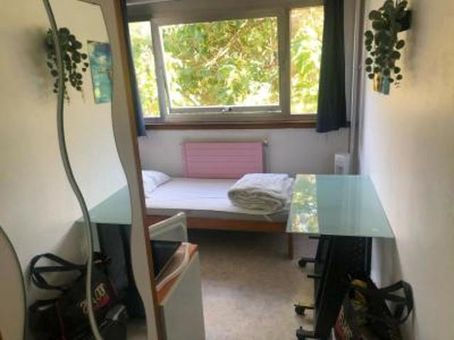 location appartement villeneuve d'ascq 1 pièce 11 m2 nord 59491 395 € / mois