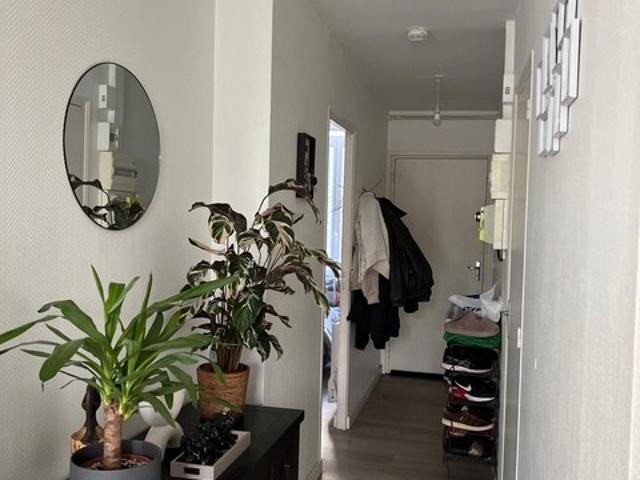 location appartement à lille