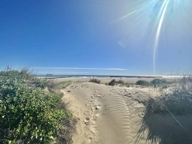Location Appartement Allée du Soleil Couchant, Agde