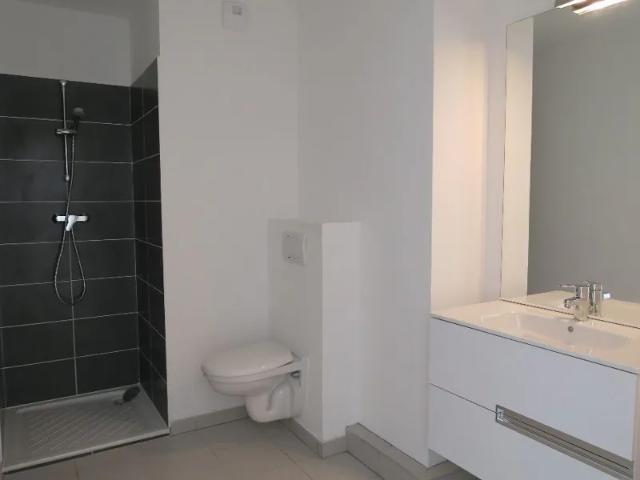 Location Appartement Avenue Berthelot, Lyon