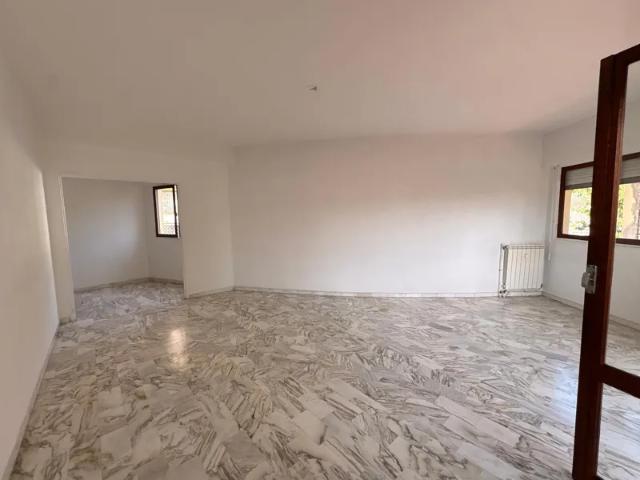 Location Appartement Avenue George V, Nice