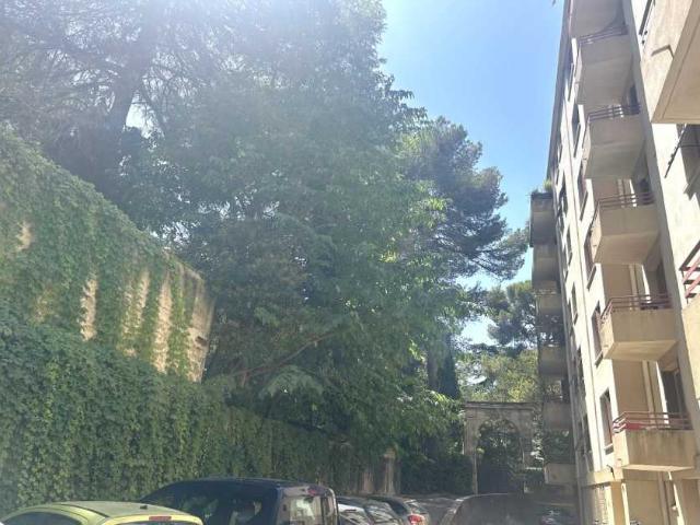 Location Appartement Avenue de Lodève, Montpellier