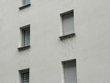 Location Appartement Avenue de Muret, Toulouse