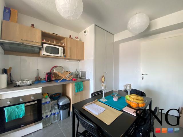 Location Appartement Avenue du Cardinal Saliège, Portet sur Garonne