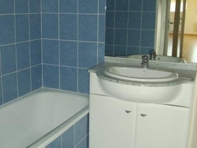 Location Appartement Avenue du Grand Bois, La Salvetat Saint Gilles
