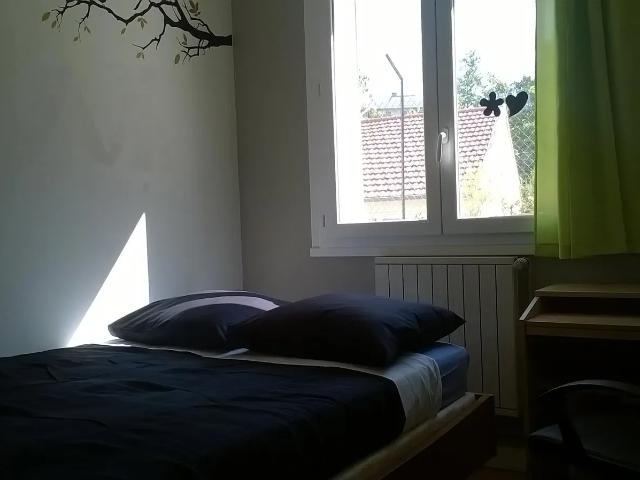 Location Appartement Avenue Paul Santy, Lyon