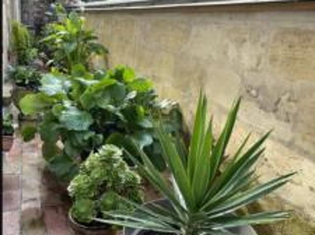 location appartement bordeaux 1 pièce 25 m2 gironde 33000 780 € / mois