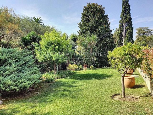 location appartement cannes basse californie