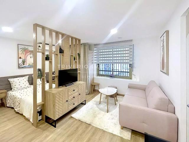 location appartement cannes broussailles