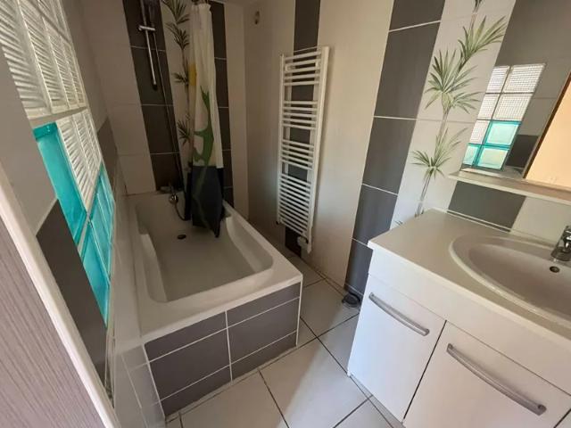 Location Appartement Chemin de Castelsec, Mende