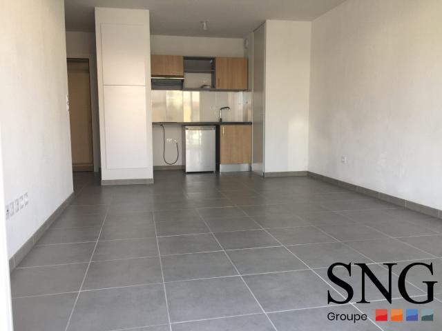 Location Appartement Chemin des Carreaux, Roques