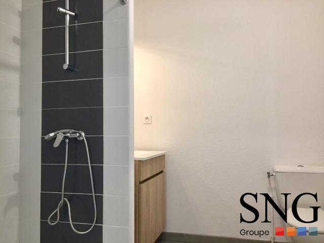 Location Appartement Chemin des Carreaux, Roques
