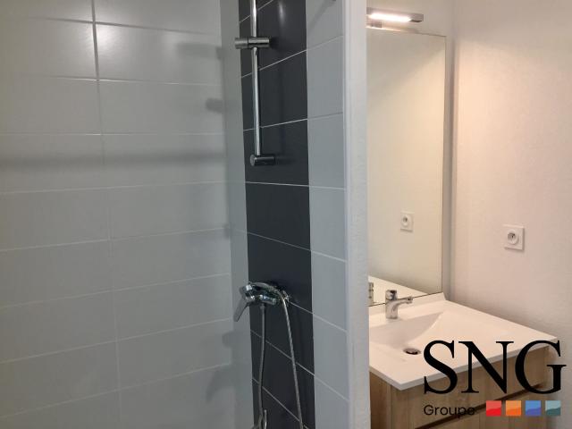 Location Appartement Chemin des Carreaux, Roques