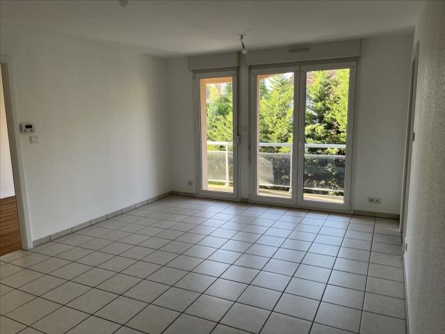 Location Appartement Chemin du Hirzensteg, Colmar