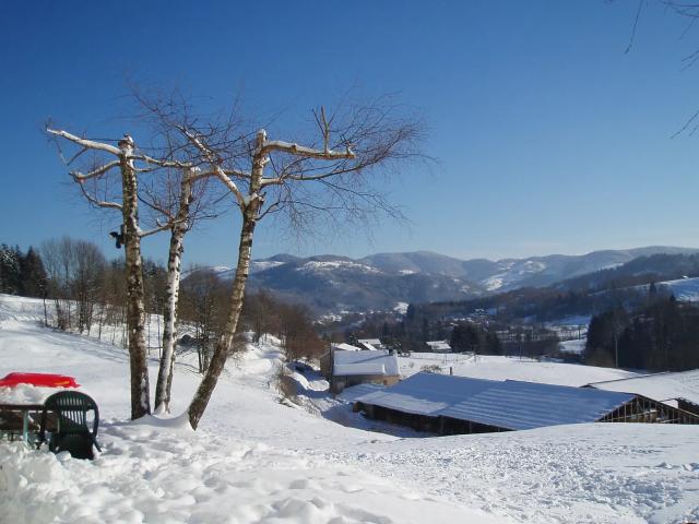 Location Appartement Chemin du Planot, Le Thillot