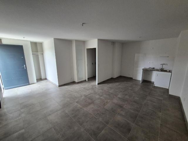 Location Appartement Chemin du Prat Long, Toulouse