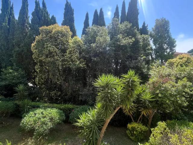 Location Appartement Chemin Lintier, Vallauris