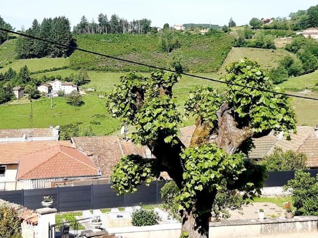 Location Appartement Chemin Saint Laurent, Thizy les Bourgs