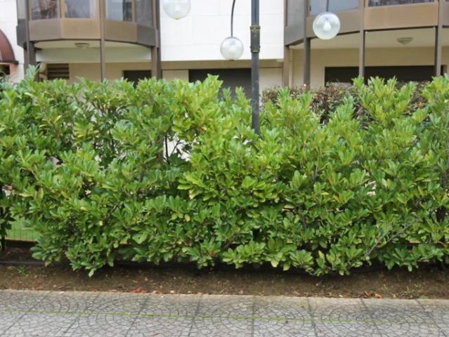 Location Appartement Cours du Général de Gaulle, Dijon