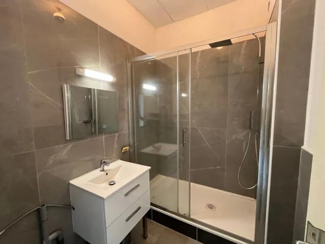 Location Appartement Cours Émile Zola, Villeurbanne