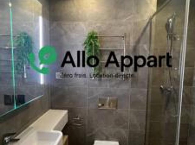 location appartement lyon 1er arrondissement 1 pièce 26 m2 rhone 69001 620 € / mois