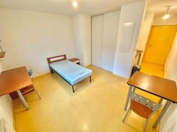 location appartement lyon 7eme arrondissement 1 pièce 20 m2 rhone 69007 520 € / mois
