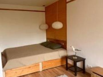 location appartement lyon 7eme arrondissement 1 pièce 25 m2 rhone 69007 490 € / mois