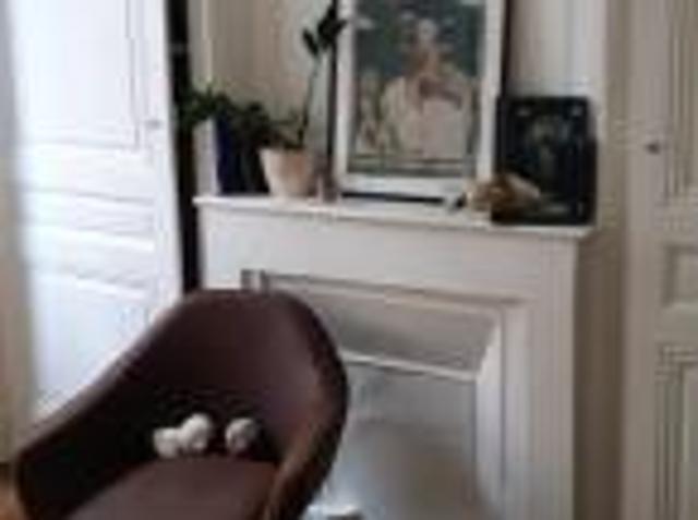 location appartement lyon 7eme arrondissement 1 pièce 33 m2 rhone 69007 759 € / mois