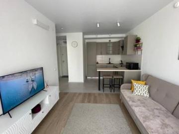location appartement lyon 7eme arrondissement 2 pièces 33 m2 rhone 69007 555 € / mois