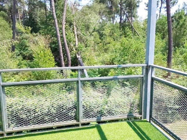 Location appartement, m² T 3 à Mérignac, 1 110 €