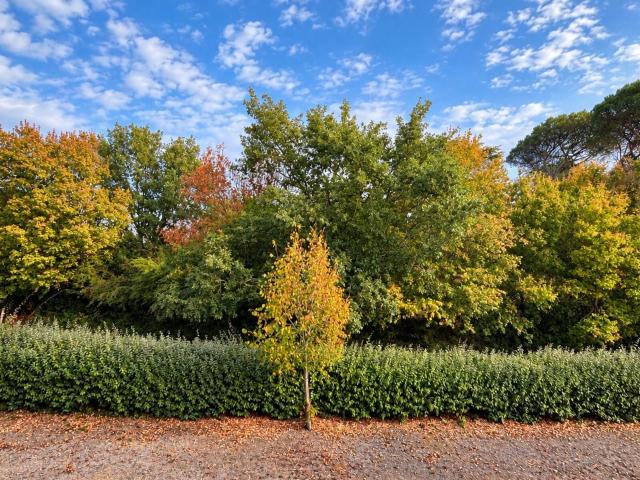 Location appartement, m² T 1 à Saint Geniès Bellevue, 520 €