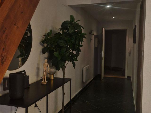 Location appartement, m² T 2 à Mulhouse, 690 €