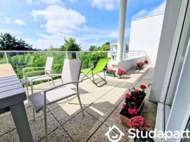location appartement madeleine 1 pièce 12 m2 nord 59110 500 € / mois