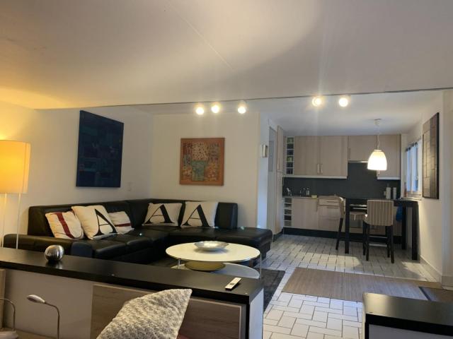 Location Appartement meublé 1.5 pièces CHF 1'800. /mois 47 m2 | immobilier.ch