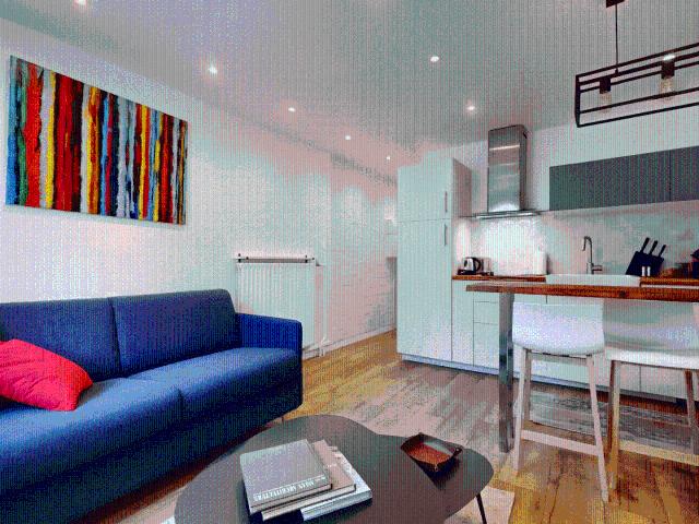 Location Appartement Meublé 1 pièce 21 m² Marais Bastille 75004 Paris S04375