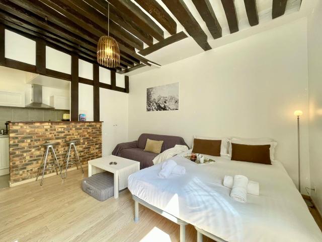 Location Appartement Meublé 1 pièce 25 m² Hôtel de Ville Beaubourg 75004 Paris S04292