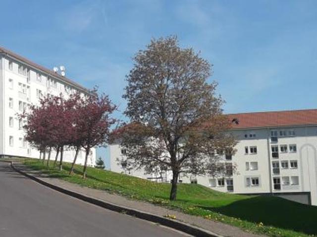 location appartement mirecourt 3 pièces 57 m2 vosges 88500 490 € / mois