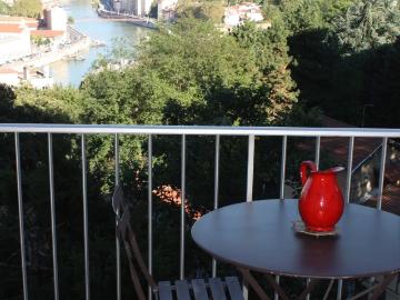 Location Appartement Montée de l'Observance, Lyon