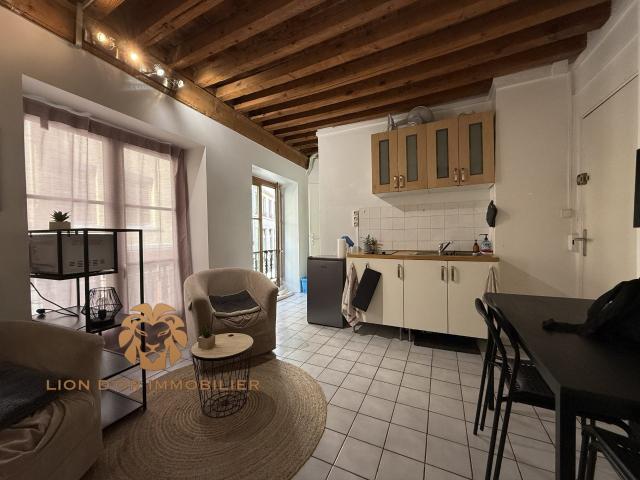 Location Appartement Montée des Carmélites, Lyon