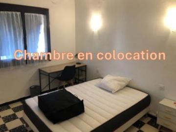 location appartement perpignan 1 pièce 80 m2 pyrenees orientales 66100 409 € / mois