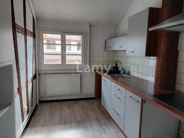 Location Appartement Petite Rue des Tanneurs, Colmar