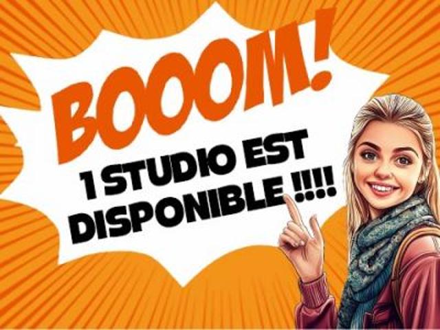 location appartement ponts de ce 1 pièce 25 m2 maine et loire 49130 667 € / mois