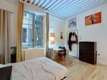 Location Appartement Place du Petit Collège, Lyon