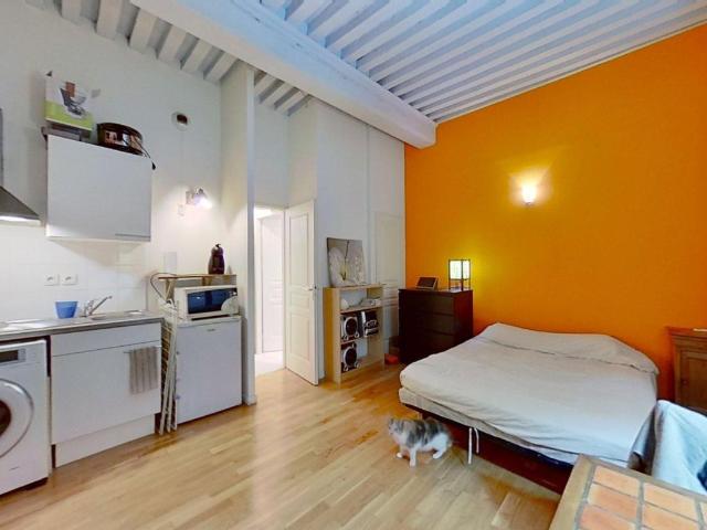 Location Appartement Place du Petit Collège, Lyon